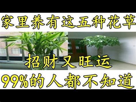 家裡適合種什麼花|打造家居綠洲秘訣